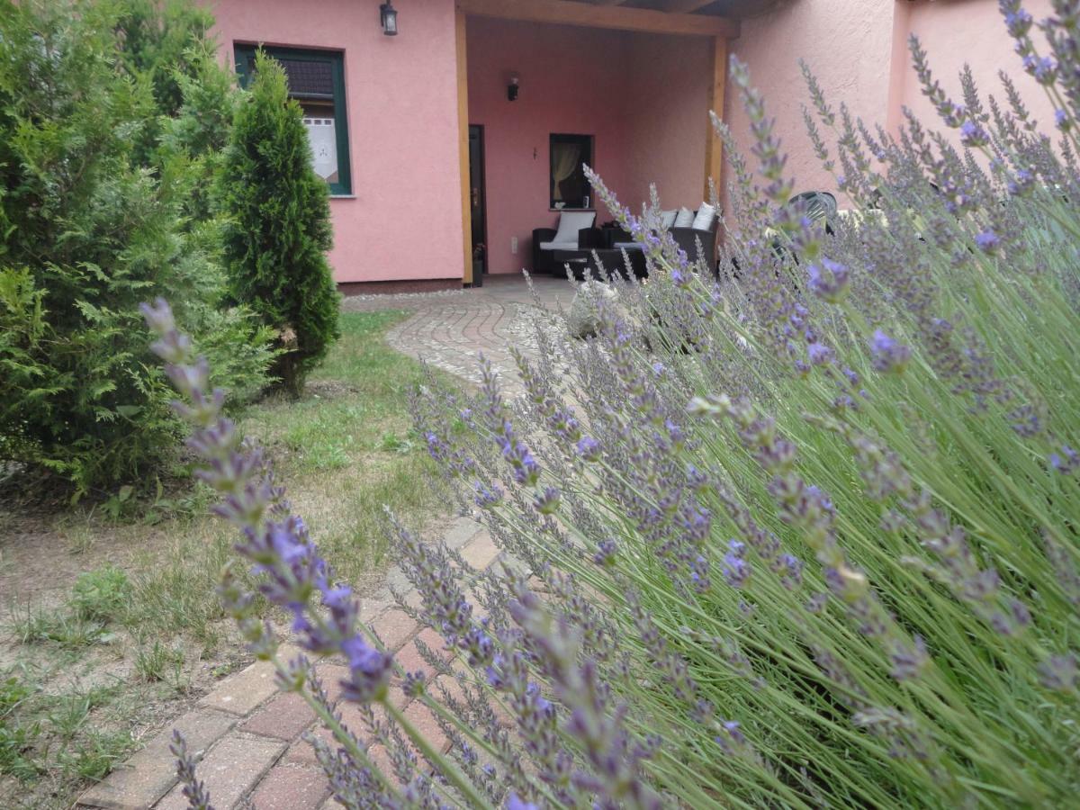 Ferienhaus Krueger เทมพลีน ภายนอก รูปภาพ